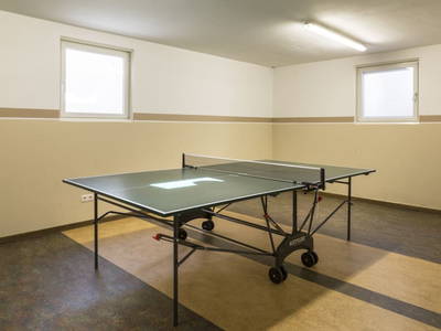 Bild 61 aus  Bio-Bauernhof Obertrattenbachhof