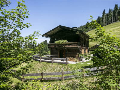 Bild 48 aus  Almhütte Kohlenau