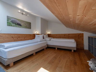 Bild 11 aus  Pleschinhof