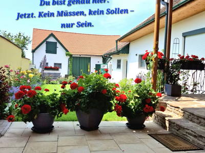 Bild 100 aus Ferienhaus Weinviertel