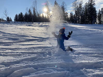 Bild 123 aus  Wittinghof