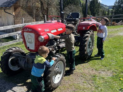 Bild 16 aus  Pirkerhof