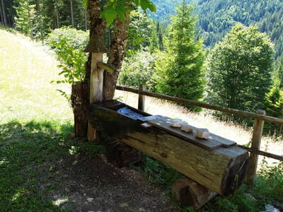 Bild 67 aus  Almhütte Meierle