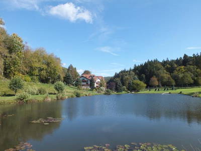 Bild 7 aus  Hotel Gasthof Sieberzmühle