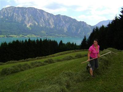 Bild 46 aus Attersee - Ferienhof Margarethengut - Salzkammergut