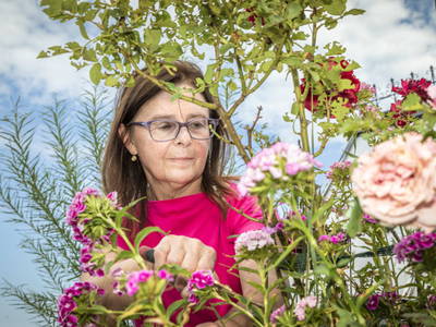 Bild 91 aus  Pointbauer