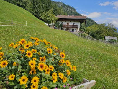 Bild 3 aus  Pfleger Ranch am Schönegg Gut
