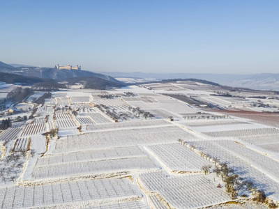 Bild 26 aus  Naturgartenurlaub - Steffis Ferienwohnungen