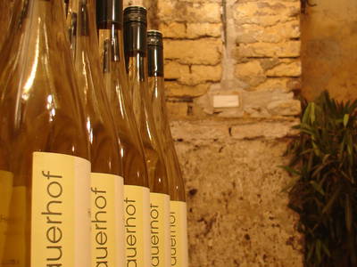 Bild 23 aus  BioWeingut Hauerhof 99