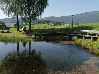 Bild 9 aus  Kuchlbauer