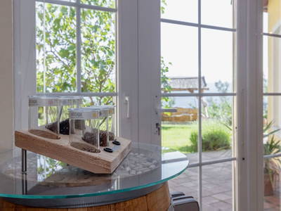 Bild 92 aus  Pleschinhof