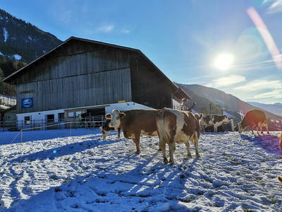 Bild 48 aus  Baby und Kinderbauernhof Happmannhof