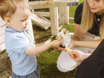 Bild 24 aus  Knappenhof