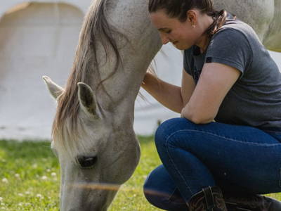 Bild 47 aus  Family Ranch – Urlaub am PferdeBauernHof