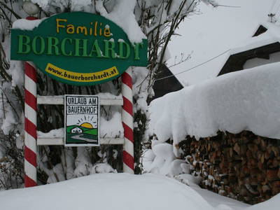 Bild 28 aus  Bauerborchardt - Urlaub am Bauernhof bei Familie Borchardt