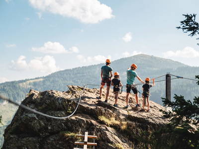 Bild 154 aus  Bischofhütten