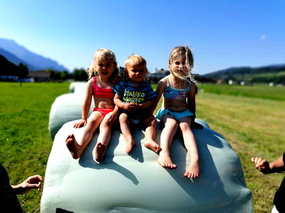 Bild 60 aus Bauernbräugut