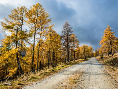 Bild 32 aus  Goldgräberhütte