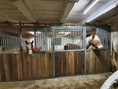 Bild 97 aus  Madritschhof