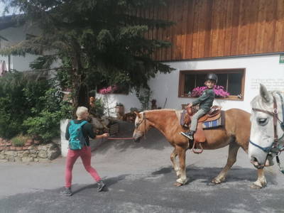 Bild 154 aus  Naturerlebnis Lärchenhof