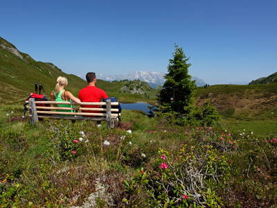 Bild 83 aus  Taxengut