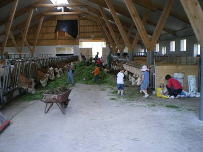 Bild 30 aus  Rußbachbauer