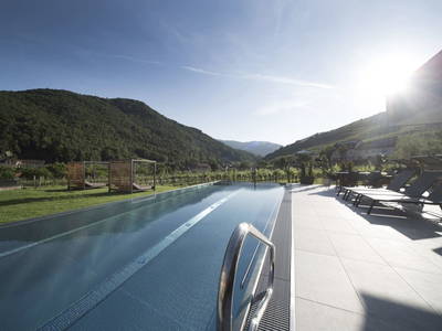 Bild 5 aus  Weingut STRAWANZER Donabaum