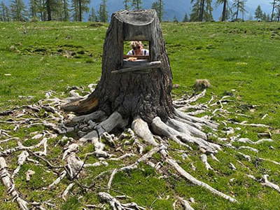 Bild 188 aus Neuwirth Hütte