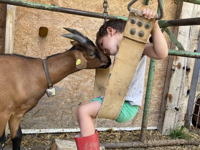 Bild 41 aus  Ferienhof Rösslar