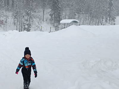 Bild 136 aus  Biohof Viertl