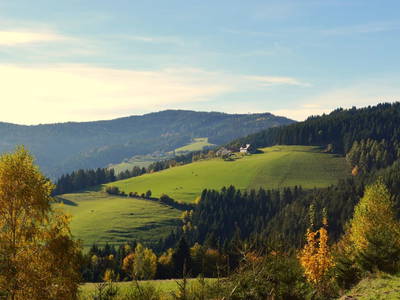 Bild 32 aus  Ferienhof Pemberger