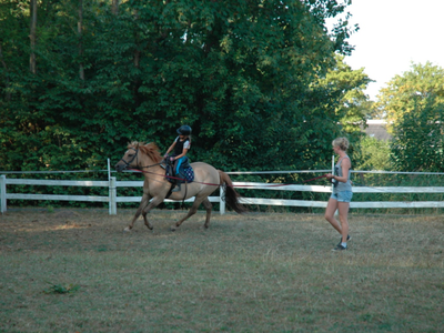 Bild 12 aus  Ferienhof Martens