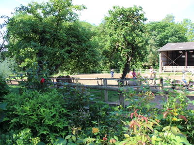 Blick vom Garten Haus Dorfstr.1 auf den Reitplatz