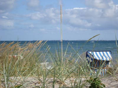 Bild 34 aus  Ferienhof Rauert