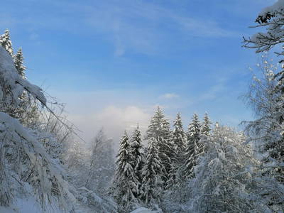 Bild 47 aus Stinig-Hof