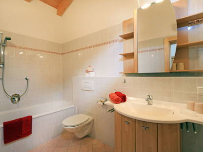 Bild 29 aus  Blattlbauer