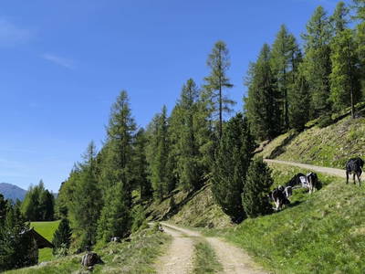 Bild 15 aus  Hanslerhütte