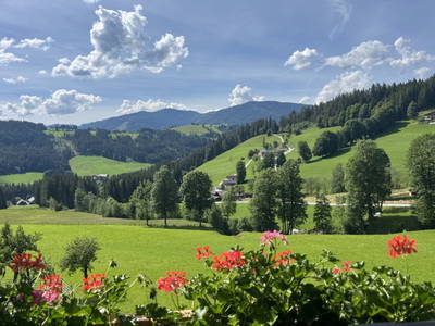 Bild 5 aus  Peterlehen