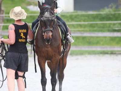 Bild 25 aus  Reiterhof Romanasa