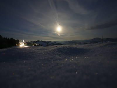 Bild 10 aus  Miniponyhof Biohof Almbauer