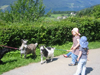 Bild 22 aus Forstnighof