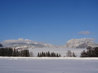 Bild 238 aus  Stanglhof