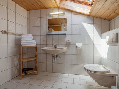 Bild 64 aus  Pleschinhof