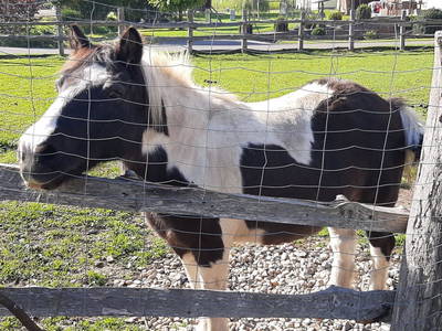 Bild 27 aus  Ferienhaus Zotter