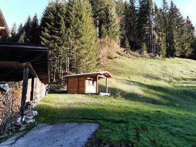 Bild 18 aus  Alpboden