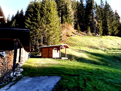 Bild 19 aus Alpboden
