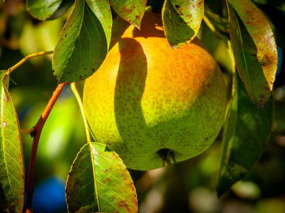 Bild 23 aus  Ebnerhof