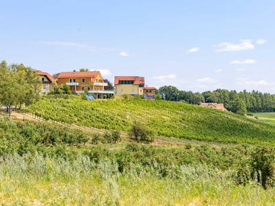 Bild 2 aus  Weinhof Reichmann