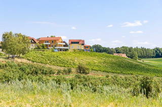 Weinhof Reichmann aus Sankt Peter am Ottersbach