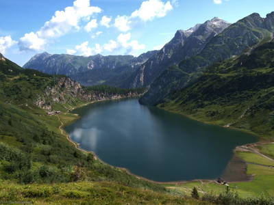 Bild 89 aus  Taxengut